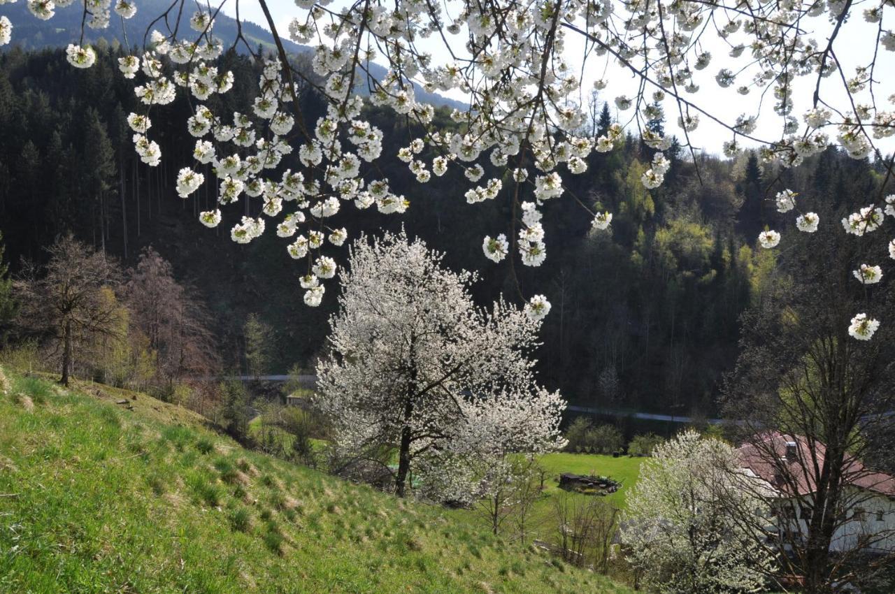Gaestehaus Pension Edelweiss Kolsass Værelse billede